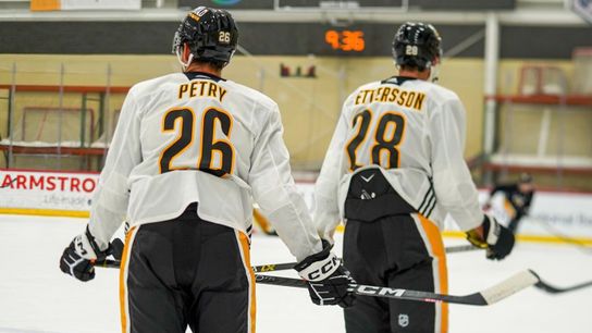 Shirey: Get excited about this Pettersson-Petry pairing taken in Cranberry, Pa. (Penguins)
